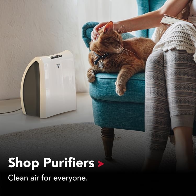 Vornado | Airflow Engineering Pioneer Since 1945 – Vortex Whole-Room Circulators, High-Efficiency Quiet Fans - Vornado Official Brand